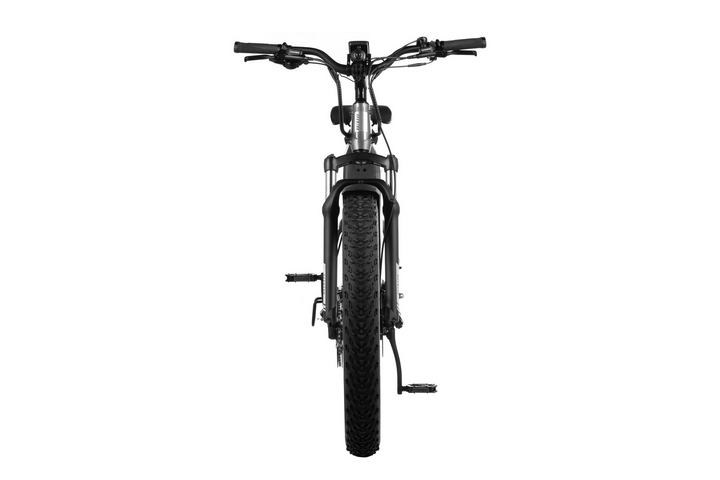 Aventon Aventure 2 Ebike