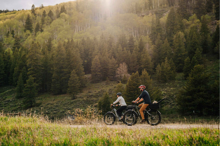 Aventon Aventure 2 Ebike